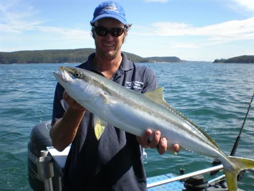 This kingfish was caught near Lyon Island at the entrance to the Hawkesbury River © Gary Brown